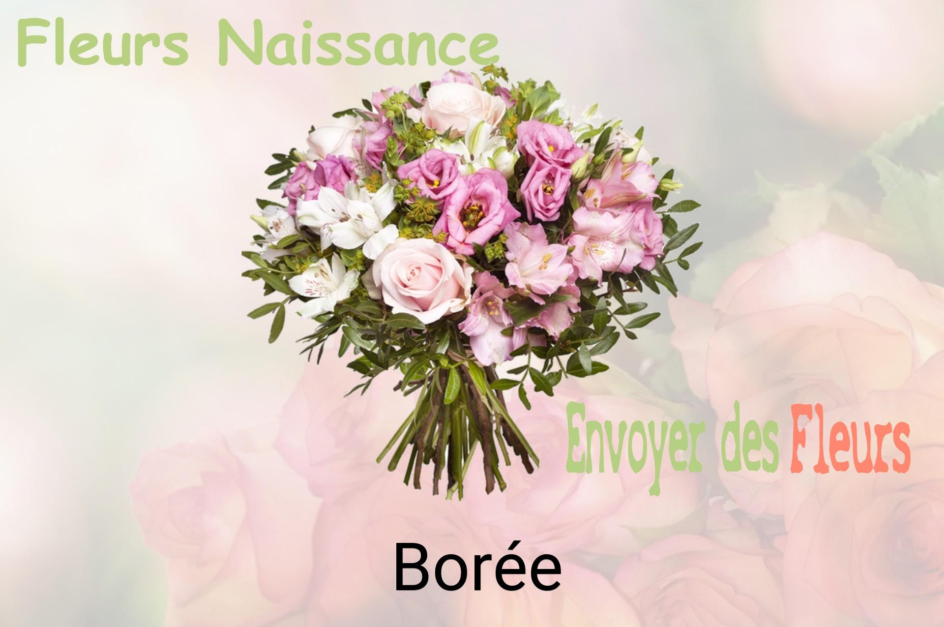 Bouquet de fleurs de naissance livré à Borée